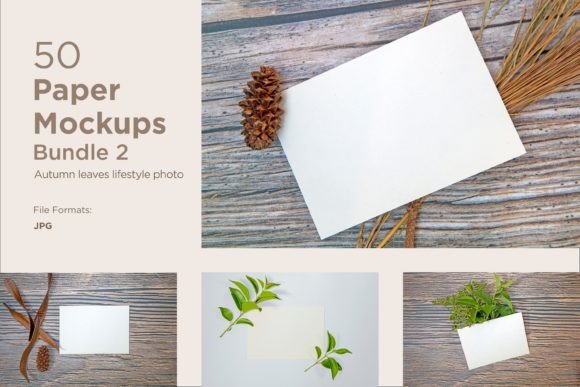 Download Greeting Card Bundle with Autumn Themes - Card Collection